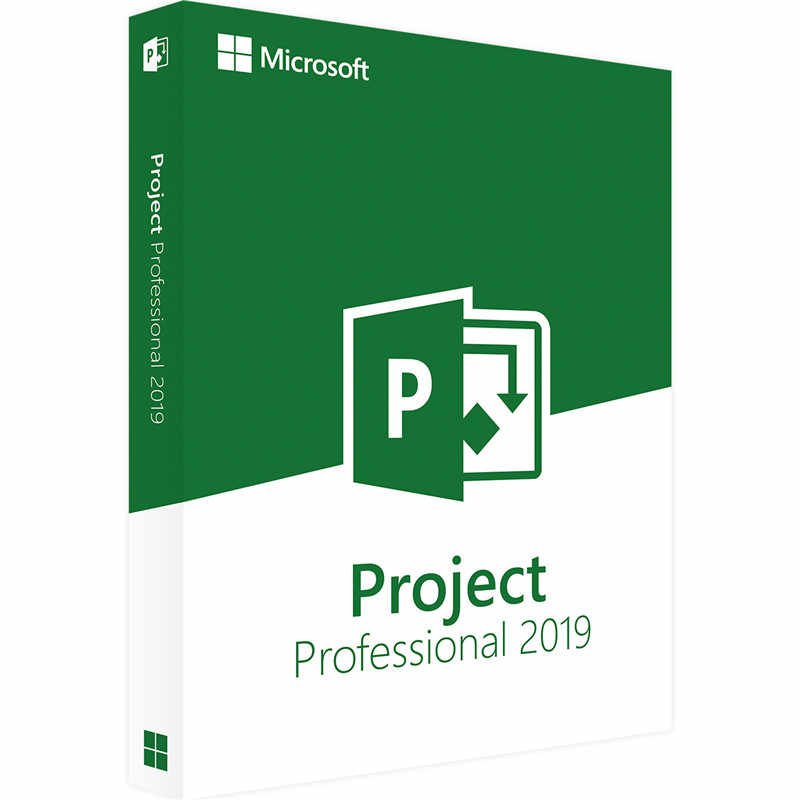 Microsoft Project Professional