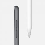 iPad Mini